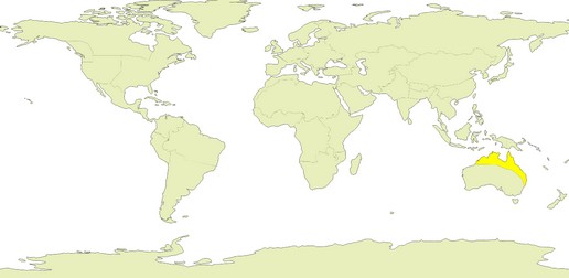 /32Northern Australia.jpg